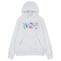 levis---graphic pullover-hoodie